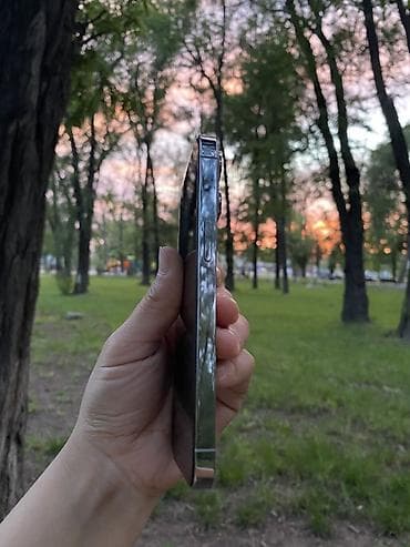 iphone 13 про цена: IPhone 13 Pro, 256 ГБ, Серебристый, Коробка, 84 % — 5