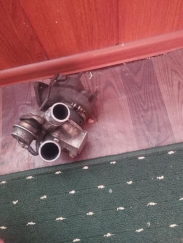 колла: Турбина — 4