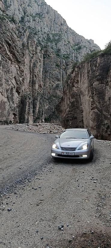 авто шпаклевка: Toyota Windom: 2003 г., 3 л, Автомат, Бензин, Седан — 4