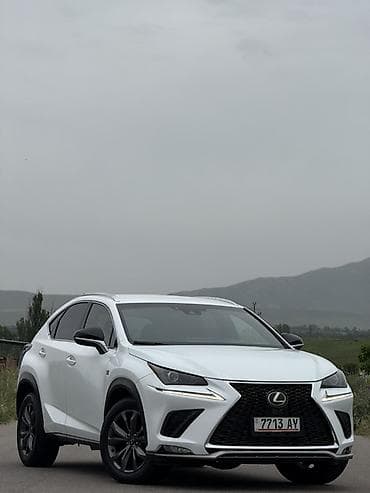 dio af27: Lexus NX: 2019 г., 2 л, Автомат, Бензин, Кроссовер — 5