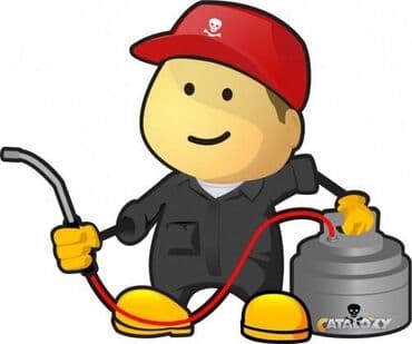 уничтожение клоп блох: Дезинфекция, дезинсекция, | Клопы, Блохи, Тараканы, | Транспорт, Офисы, Квартиры — 2