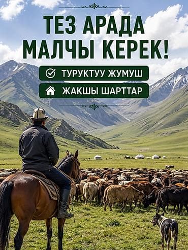 Вакансия: пастух (скотовод) Описание: - Срочно требуется пастух для