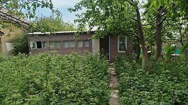 Дача на Иссык-Куле, село Бостери (ближняя дача). Участок ухоженный