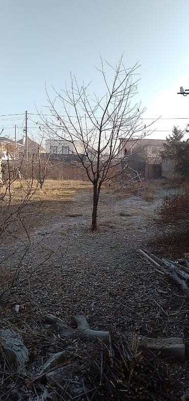 Продажа участков: 8 соток, Красная книга, Тех паспорт, Договор купли-продажи — 3