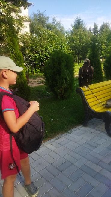 бостери комнаты: Гостевой дом для групп и семей, рядом с природой и местами для — 1