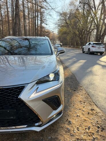 выкуп авто нексия: Lexus NX: 2018 г., 2.5 л, Вариатор, Бензиновая, Кроссовер — 8