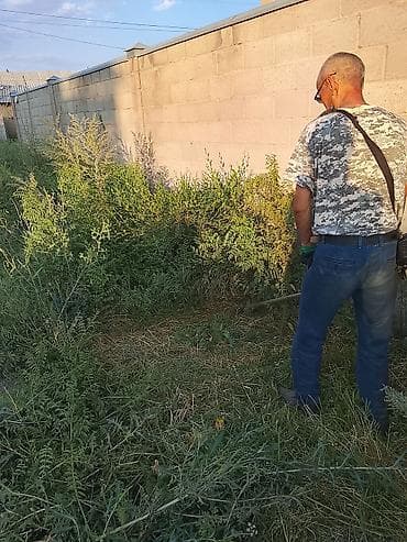 Клининговые услуги: Уборка территории, Стрижка газона — 3