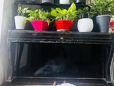 пианино ош: Пианино классический чёрный б/у - Габариты ориентировочно: высота — 4