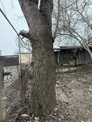 Кызматтар: Сатылат келишим баада. Точна алып кетем дегендер чалгыла жазгыла — 1