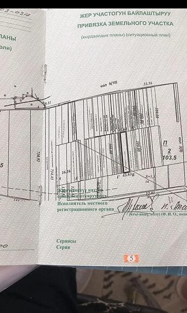 нижний чуй: 43 соток, Для бизнеса — 2