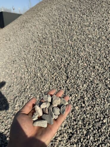 комнатные растения в бишкеке купить цена оптом и в розницу: Продается щебень, не мытый для рассыпных работ — 4