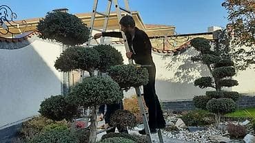 сделаем красиво: Садовник ландшафтный дизайн озеленение территории посадка цветов — 9