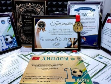 чехол для документов: Грамоты, дипломы, сертификаты с рамкой и без с Вашим текстом! Дизайн — 4