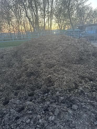 б у фермы: Отдам лошадиный навоз даром!!! Биогумус,поля — 1
