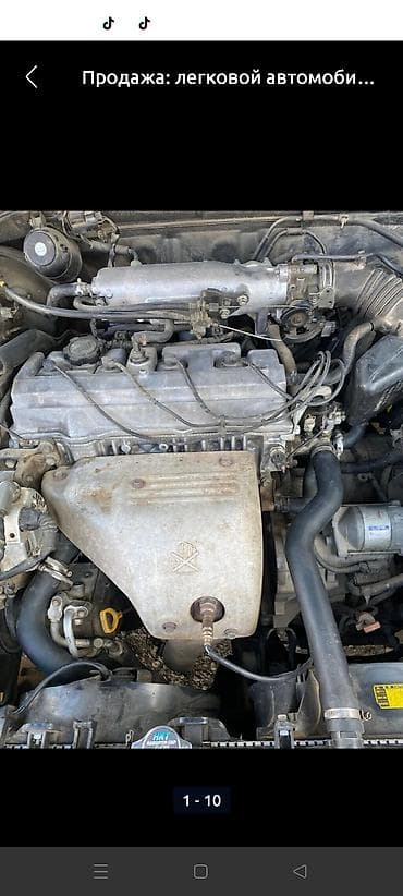 Легковой автомобиль — двигатель и подкапотное пространство -