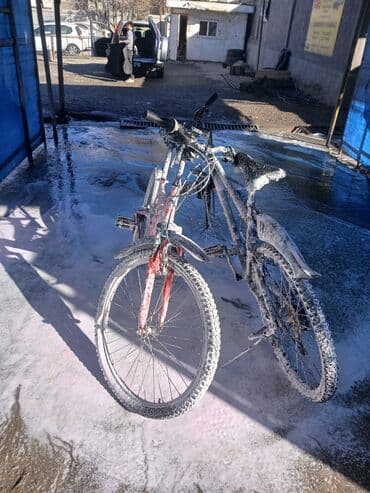 книга русский язык 6 класс бреусенко матохина гдз: Подростковый велосипед — 1