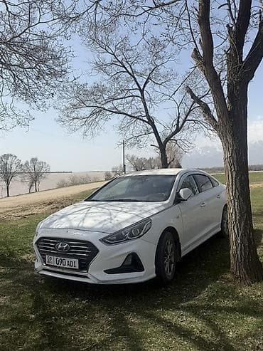 citroen c5: Hyundai Sonata: 2019 г., 2 л, Автомат, Газ, Седан — 5