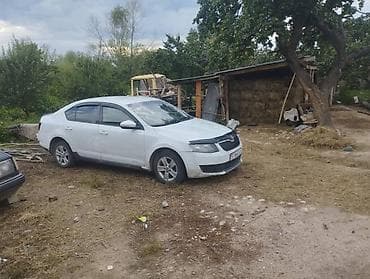Продажа авто: Skoda Octavia: 2016 г., 1.6 л, Автомат, Бензин, Лифтбек — 5