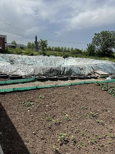 бир: 80 соток, Айыл чарба үчүн, Сатып алуу-сатуу келишими — 4