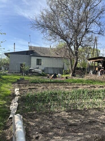 продаю дом новониколаевка: Дом, 142 м², 5 комнат, Собственник, Косметический ремонт — 17