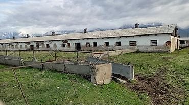 Продажа сельскохозяйственного комплекса (коровник/скотный двор) -