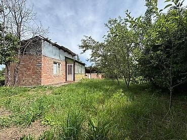 amir city: Продаётся земельный участок с домом и хозяйственными постройками. 🌿 — 5