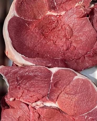 базарить: Мясной магазин «Зикр» эт дукону — всё для дома и идеального шашлыка — 6