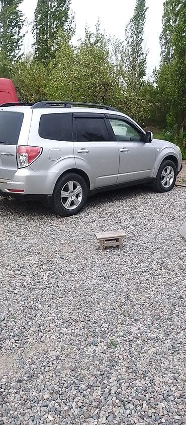 mini kuper: Subaru Forester: 2008 г., Кроссовер — 2