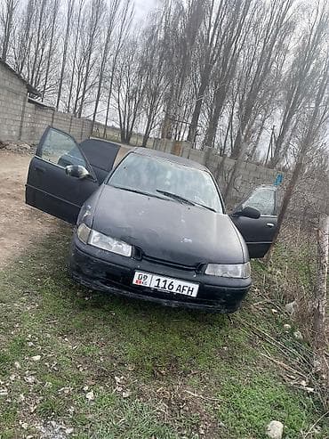 Honda Accord: 2012 г., Механика, Бензин, Седан — 2
