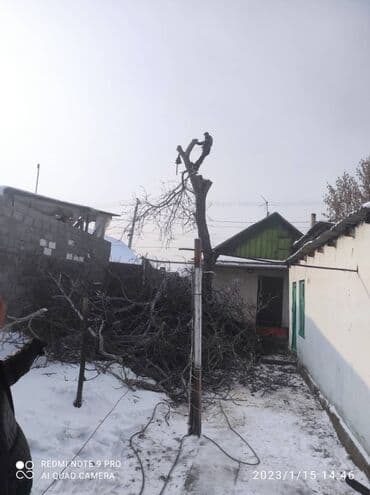 Профессионально оперативно быстро спил любой сложности. Без выходных at lalafo.kg Профессионально оперативно быстро спил любой сложности. Без выходных