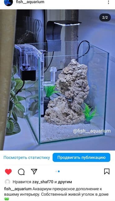 аквариумная рыбка: Аквариум с дизайном. Прекрасен на подарок — 2
