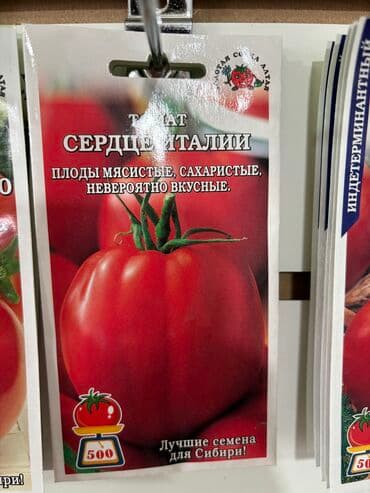 рассада помидор купить: Семена помидоров по 25 сомов «Джина ТСТ» «Лонг кипер» «Янтарное — 10