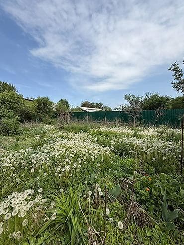 земля маевка: 5 соток, Для строительства — 3