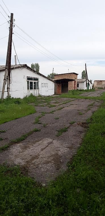 Село Ново-Николаевка, срочно продается феома, красная кгига at lalafo.kg Село Ново-Николаевка, срочно продается феома, красная кгига