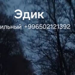 купить запчасти на опель вектра б: Модель 82.1 экспортный, Б/у, Трактор с другими агрегатами — 8