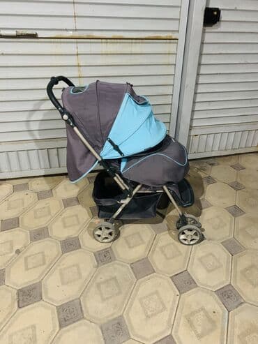 отдам даром котенка бишкек: Эки мин — 2