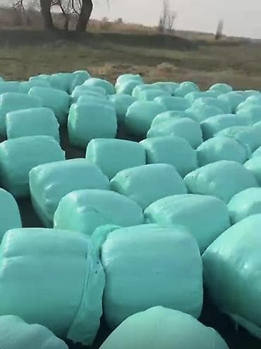 Силос в индивидуальной упаковке (тюки в стрейч-пленке) - Кормовая