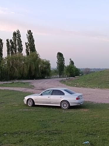 e60 bmw: BMW 5 series: 2003 г., 2.5 л, Ручные, Бензин, Седан — 3