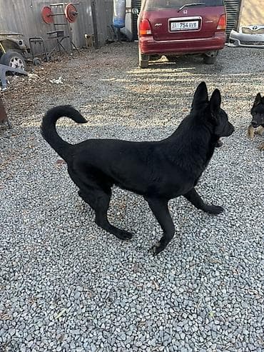 с мыкан: ВЯЗКА! Не продажа. Всем доброго времени суток друзья, предоставляю к — 3