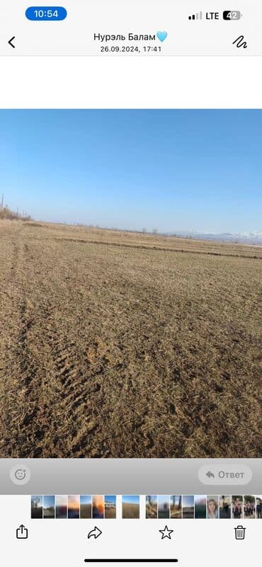 продажа земель сельскохозяйственного назначения: Для сельского хозяйства — 8