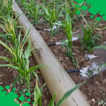 Садовые инструменты и инвентарь: Полиэтиленовый рукав для полива Размеры: 300 мм Предназначен для — 2