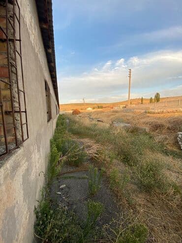 продаю дом село орок: 100 соток, Красная книга — 8