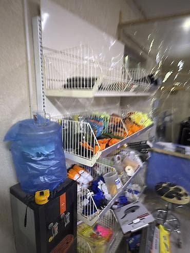 витринные полки б у: Продаю полки! В очень хорошем состоянии,использовались не долго! По — 3