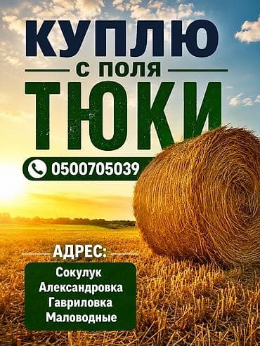 куплю продам мед: КУПЛЮ ТУКИ С ПОЛЯ СОКУЛУК МОЛОВОДНОЕ БЕЛОВОДСК — 1