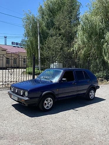 220 s class: Volkswagen Golf: 1991 г., Хэтчбэк — 1