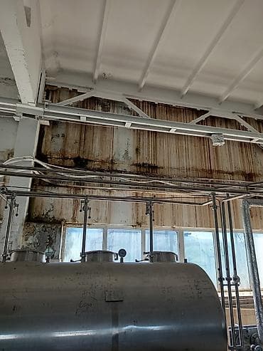 продаю дом заря: Завод по переработке и сушке молока для приема, хранения, переработки — 9