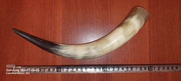 купить прикормочный кораблик для рыбалки: Рог. В хорошем состоянии — 4