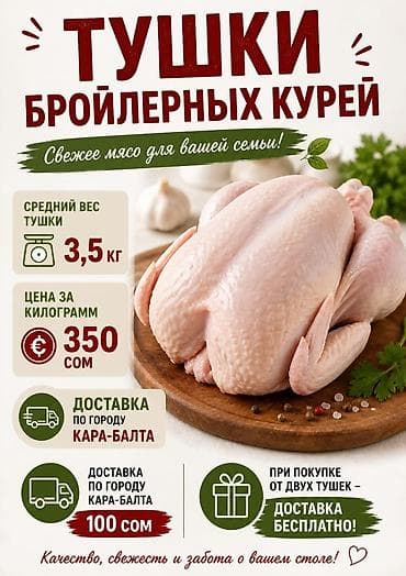 говяжий кости: Тушки бройлерных кур - Свежие тушки для вашей семьи - Средний вес — 1