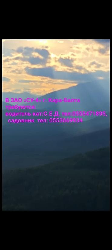 садовник керек: Вакансии в ЗАО «СУ‑4», г. Кара‑Балта. Требуются: - Водитель категорий — 1