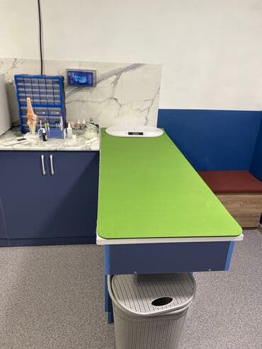 фонд помощи животным: Ветеринарная клиника 🐱🐶🐏 Лечение домашних животных 🩹🩺 - Хирургическое — 6